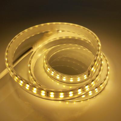 China Garden Lighting Led Lamp With Trichromatic 5050 Patch Lamp Bar , Waterproof 2835 Ceiling Highlight Lamp Strip for sale