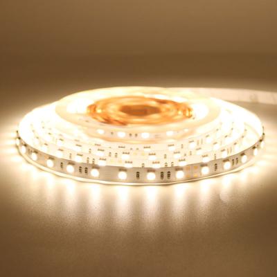 China Garden Bright Led Strip Lights For Living Room Sofa Decoration White /warm White 120led/meter Ip67 220v/110v Waterproof 100m/roll for sale