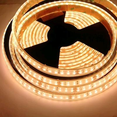 China High Quality Garden Grow Linear Flexible DC 12v 24v RGB Smd 2835 Waterproof Led Lighting Strip Led Strip Light for sale