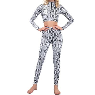 China Antibacterial Gym Clothing Snakeskin Print Women Workout Yoga Sets Jacket Top And Gaiters Set for sale