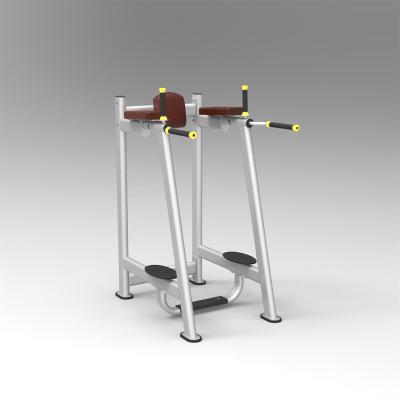 China High quality fitness center 61A45 knee raise machine for strength training for sale