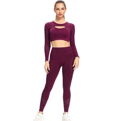 China New Arrival Breathable Gym Workout Yoga Set Seamless Long Sleeve Yoga Wear Set Core Active Yoga Wear Set for sale