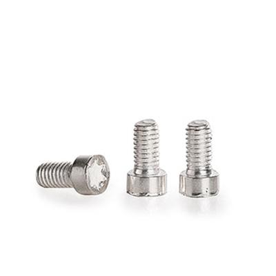 China Pan ANSI/ISO/GB/DIN Factory Cheese Head Torx Screws Silver Plated Bulk Stainless Machine Screws for sale