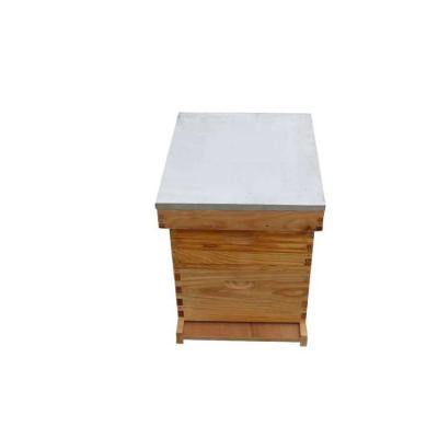 China Wooden Farms Bee Hive With Frame For Beekeeping Equipment Double Full Hive for sale