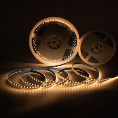 China Long Lasting Low Power Easy Installation/Long Durable 24V 2835 100LED Flexible Led Strip Light Home Decor Cheap Flexible for sale