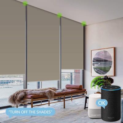 China Minimalist Motorized Wireless Rechargeable Blackout Voice Control Window Shades Compatible With Wifi Box Smart Roller Blinds for sale