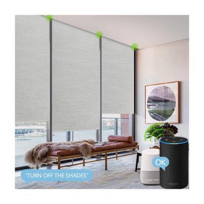 China Minimalist Aluminum Tube For Roller Shades Motorized Roller Blinds For Garage Door for sale