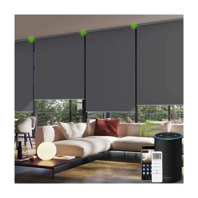 China Minimalist Exterior Window Shades Motorized Roller Shades Smart Blind Roller Motor Zebra for sale