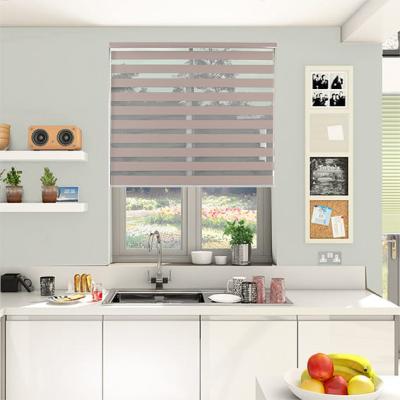 China Day and Night Minimalist Simple Wireless Zebra Roller Shade Double Layer Tarp Zebra Shades for sale