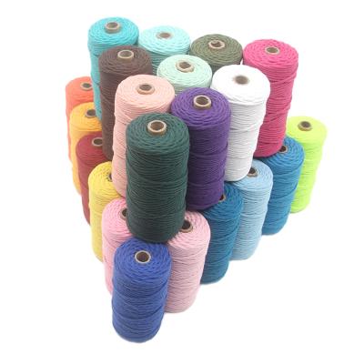 China High Quality Colorful 3mm Single Strand Soft Cotton Viable Tie Twisted Cotton Rope Macrame Cotton Rope for sale