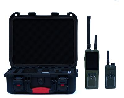 China Handheld-Signaldetektionsgerät für Teamkommunikation mit einer Akkulaufzeit von ≥ 8 Stunden und einem Detektionsradius von > 2 km zu verkaufen