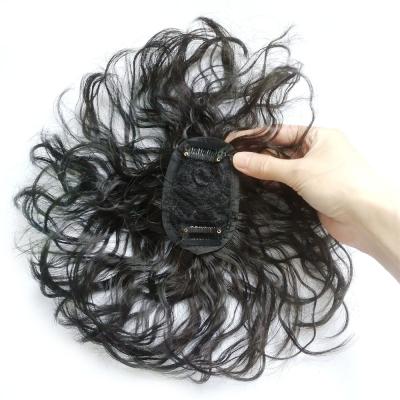 China Beauty Hair Salon Black Brown Wig Top Fills White Hair Female Invisible Top Refills Fluffy Short Curly Hair Accessories for sale