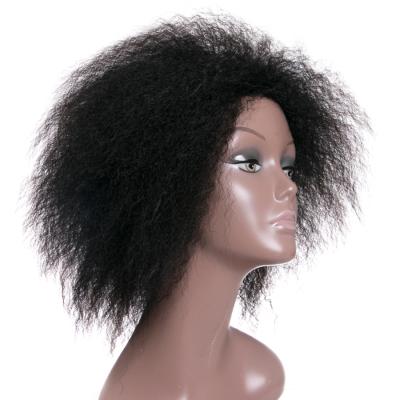 China Curly Kinky Curly Wigs, Natural Black Burgundy Short Synthetic Hair, Wigs For Women, Afro Short Daily Cosplay for sale