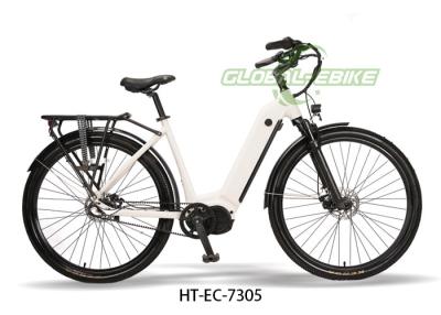 China 15Ah Ergonomical Saddle Electric Cargo Bikes with LED Spot Front Li Light for sale