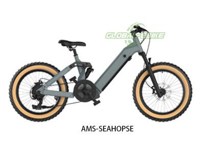 China Color LCD Display Fat Tyre Electric Bike With 32Km/H Speed Hydraulic Disc Brakes for sale