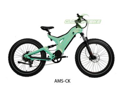 Cina Batteria da 26 pollici per bicicletta elettrica motorizzata off road con 7 marce Shimano in vendita