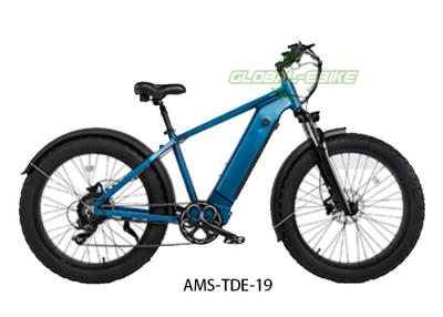 Cina Bicicletta elettrica da 26 pollici all'aperto Off Road Riding E Bike in alluminio con display LCD in vendita