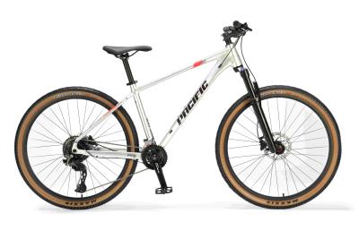 China Forge Alloy Mountain Bike With Hydraulic Disc Brake SHIMANO Freewheel for sale