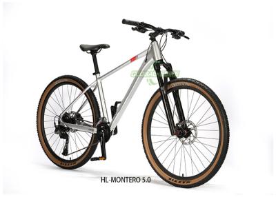 China Forge Alloy Frame Mountain Bike With Hydraulic Disc Brake SHIMANO Freewheel for sale