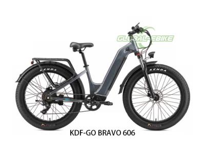 China 48V 500W LCD Display Electric Bike With Thick Tires Aluminum Alloy Frame for sale