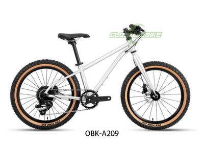 China Alu Alloy Kids BMX Bike 20 polegadas com Shimano 9 velocidade hidráulico disco freio à venda