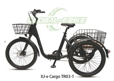 China 24inch Alloy Frame Electric Bike With Cargo Space 60km Distance Range for sale