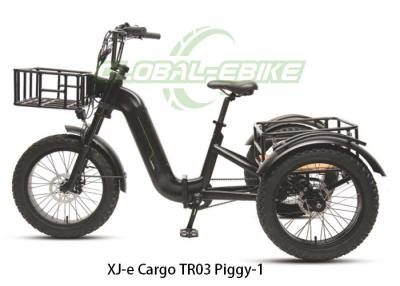 China 48.8kg Alloy Frame Cargo EBike With Brushless 48V 500W Rear Motor for sale