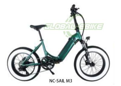 China 250-750W Mid Motor Hub 48V 14/17.5Ah Battery Fat Tire Ebike for sale