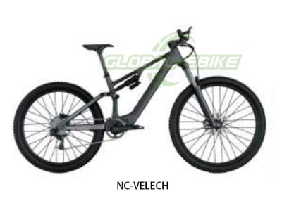 China 250W Motor 25km/H High Speed 29 Inch Carbon Fiber Lightweight Mountain E-Rider for sale