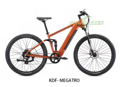 China MegaTrail 29-Inch Electric Mountain Bike With 250W Motor And Hydraulic Disc Brakes for sale