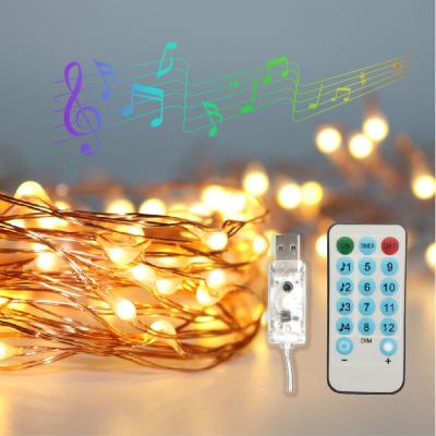 China Waterproof Copper Wire String Lights Holiday String Light Copper Wire String Light Firework Lights Warm LED Fairy Sring for sale