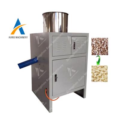 China Hotels Automatic Feeder Garlic Peeler Equipment Automatic Garlic Peeling Machine Garlic Machinery for sale