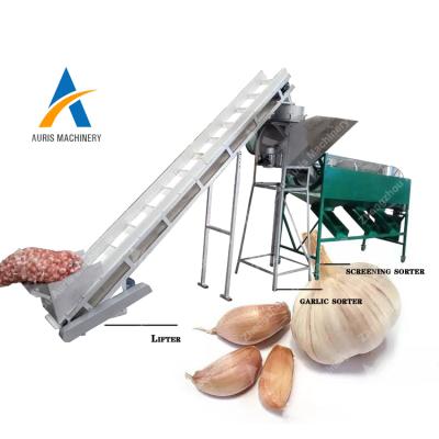 China High Efficiency Dry Garlic Separating Garlic Cloves Splitting Garlic Processing Machinery for sale