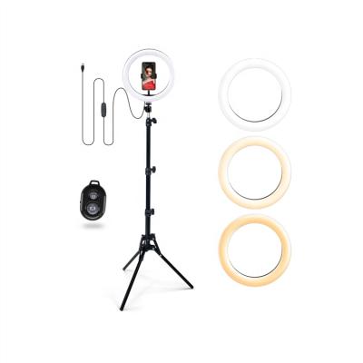 China 11W Dimmable LED Selfie Live Streaming Light Portable Led Beauty Ring Light for Video Live Studio Makeup RL-10U for sale