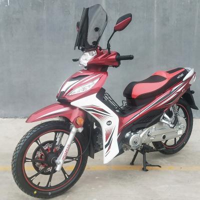 China 50cc 110cc Motorcycle Gasoline Motorcycle China Manufacturer Suit For South America And Africa Market LJ50Q-8 for sale