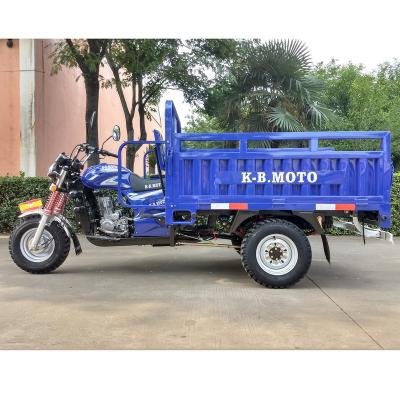 China Cargo 3 Wheel Trike Gasoline Trike For Cargo  LUOJIA Motorized Three Wheel Trike for sale