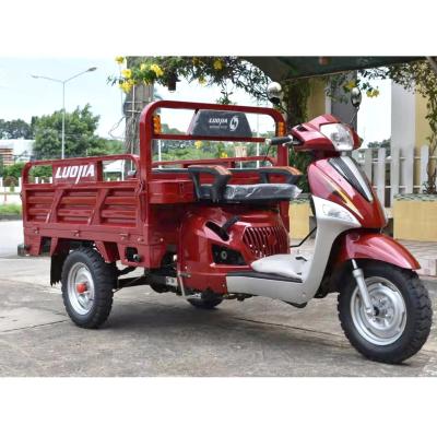 China 125cc Cargo Motorcycle 3 Wheel Trike Gasoline Trike For Cargo for sale