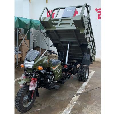 China 250cc Cargo Motorized Gasoline Three Wheel Tricycle For Cargo Tricycle Africa South America Market for sale