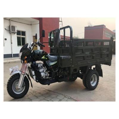 China Cargo 3 wheel trike gasoline tricycle made in china for cargo and passenger three wheel tricycle for sale