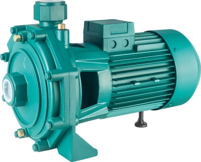 China Family Houses 2CP-52 1.5HP Centrifugal Water Pump / Centrifugal Gasoline Price for sale