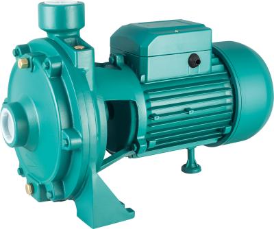 China Garden Use And Irrigation Plant Agricultural Irrigation Electric Centrifugal Water Pump 2CP/2CPM for sale