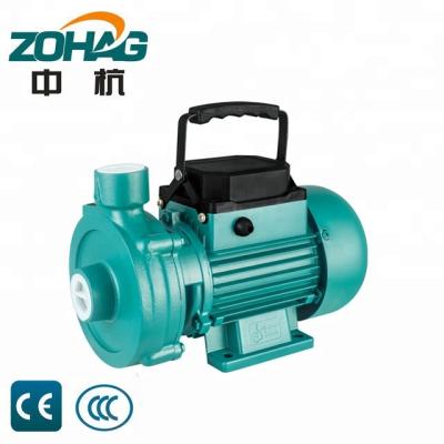 China 1.5DK-20 Family Houses High Efficiency Irrigation Centrifugal Agricultural Water Pumps For Water Supply for sale