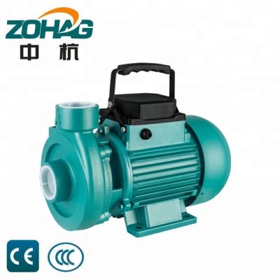 China 220V 2DK-16 1.1KW Family Houses Water Pump Agriculture Irrigation Use Centrifugal Water Pumps for sale