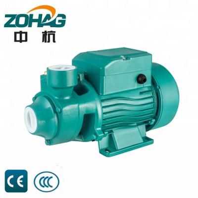 China Family Houses STRATEGY 70 0.55KW 0.75HP Electric Water Pumps For Home Use And Water Supply for sale