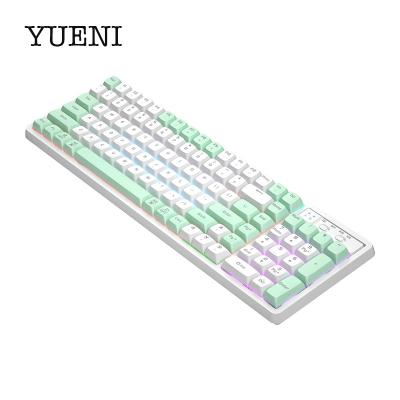 China YN 2023 Wireless RGB New Arrivals Mechanical Keyboard Wired 1042key Gaming Desktop Keyboard For PC Computer Case for sale