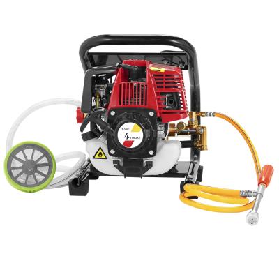 China Agrictutre Agricultural Farm Engine 5.5HP Gasoline Power Hot Selling Chemical Sprayer Can Matched With Trolley for sale