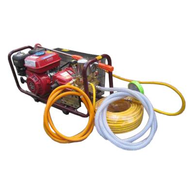 China Agrictutre Plunger Pump Power 5.5HP Motor Agricultural Sprayer With 50M HOSE for sale