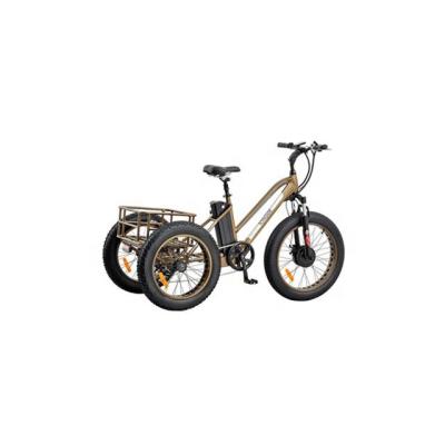 China Hot Selling Aluminum Alloy Tongge Factory Wholesale TG-T002 20 350W Tire Tricycle 48v10.4ah Lithium Battery Electric Adult Tricycle for sale