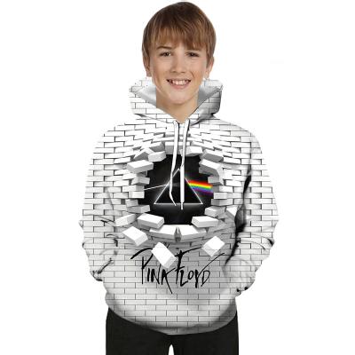 China 3D Pattern Creative Effect Anti-wrinkle Wall Digital Printing Hoodies For Boys for sale