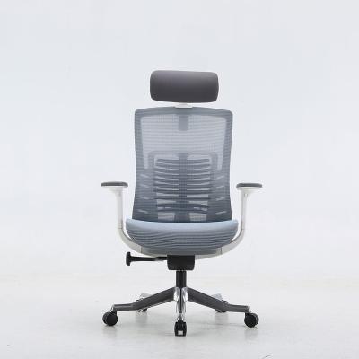 China SIHOO Hot Selling Adjustable Office Furniture Ergonomic Mesh Office Chair Adjustable Lumbar Support (Height) for sale